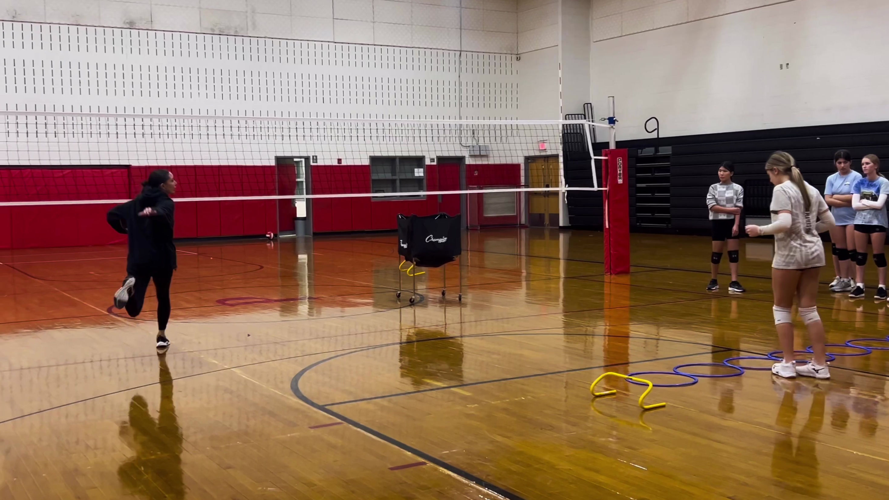 Volleyball Team Highlights